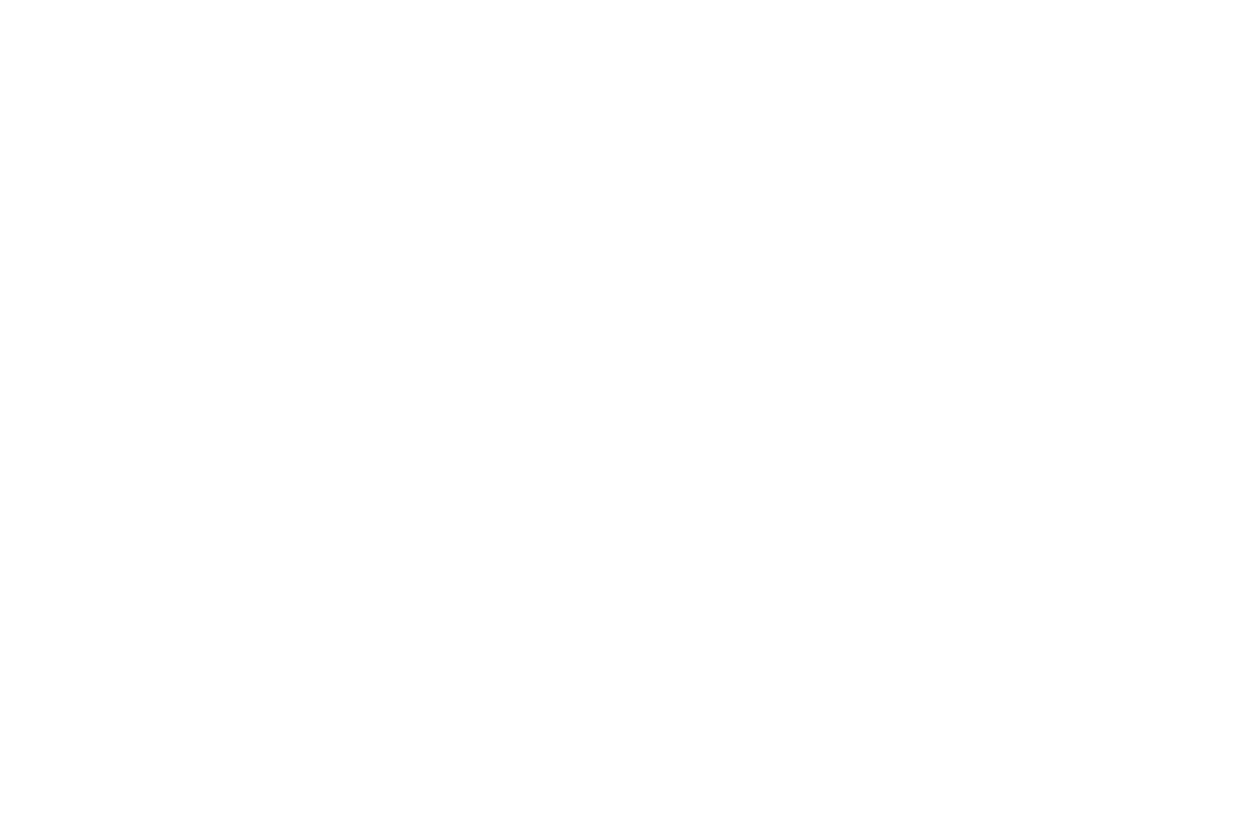 cem-elevadores-proveedores-amak-blanco