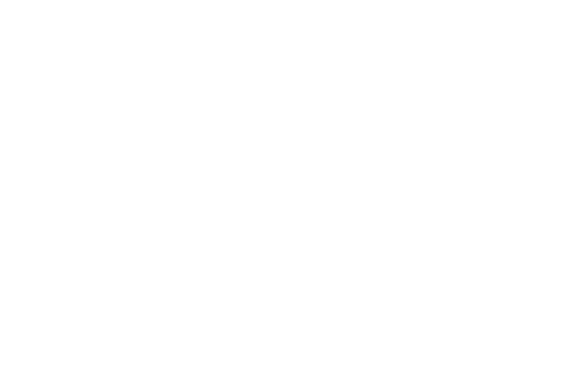 cem-elevadores-proveedores-horyong-blanco